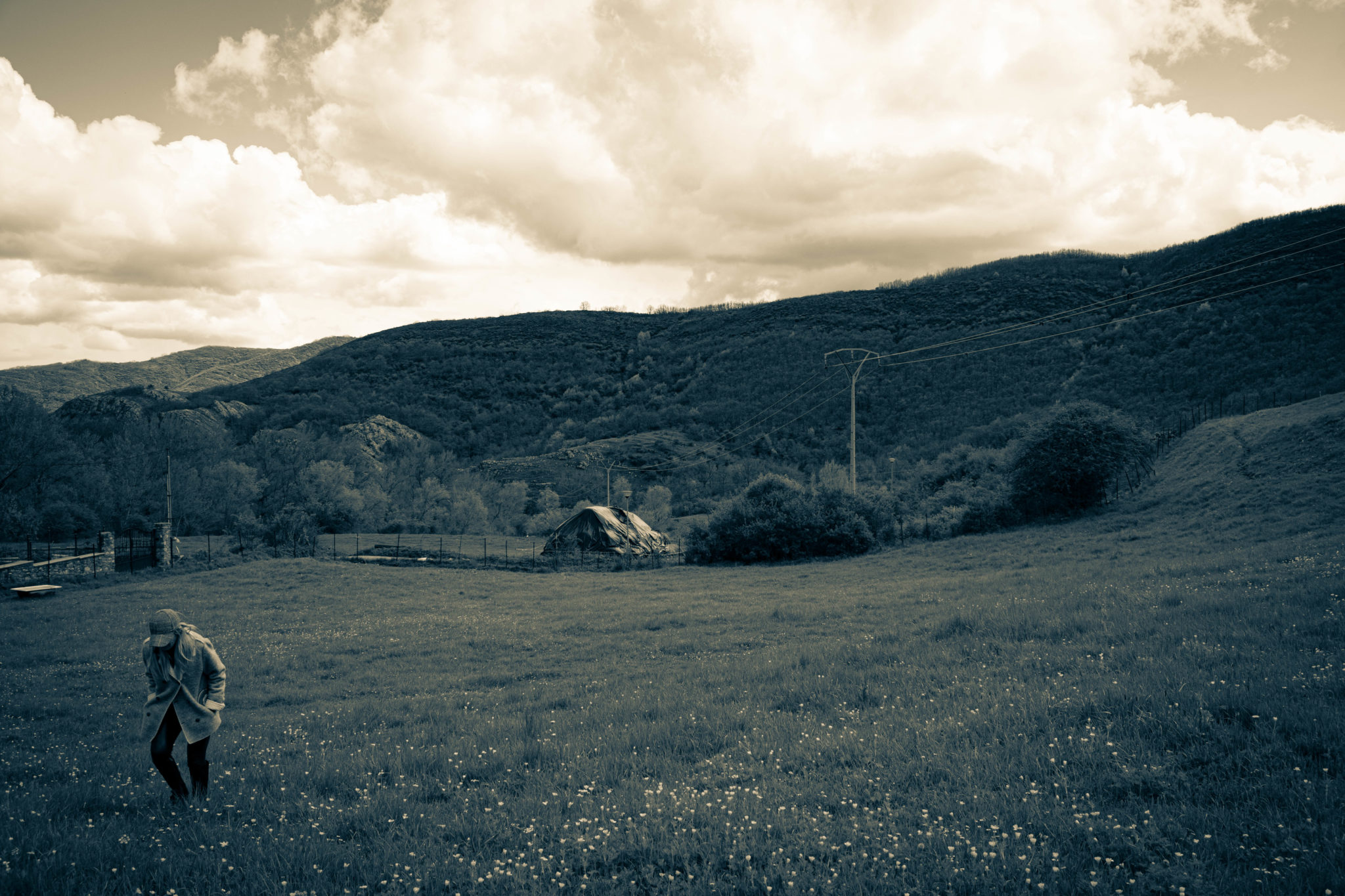 LA FINCA DEL VALLE , LEON