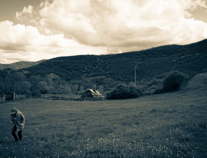 LA FINCA DEL VALLE , LEON